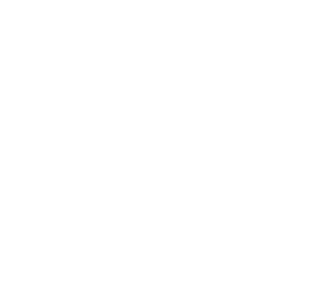 Lemonflow.ai logo